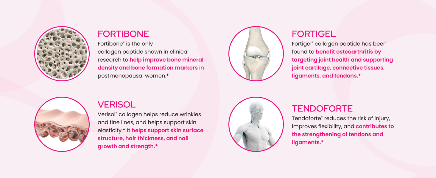 FORTIBONE® Premium Bone Health Collagen Peptides w/FORTIGEL®, VERISOL®, TENDOFORTE® | Clinically-Supported for Bones Joints Skin Hair Nails | Hydrolyzed Collagen Anti-Aging Formula | 30 Servings Healthy Bones Co Collagen Peptides