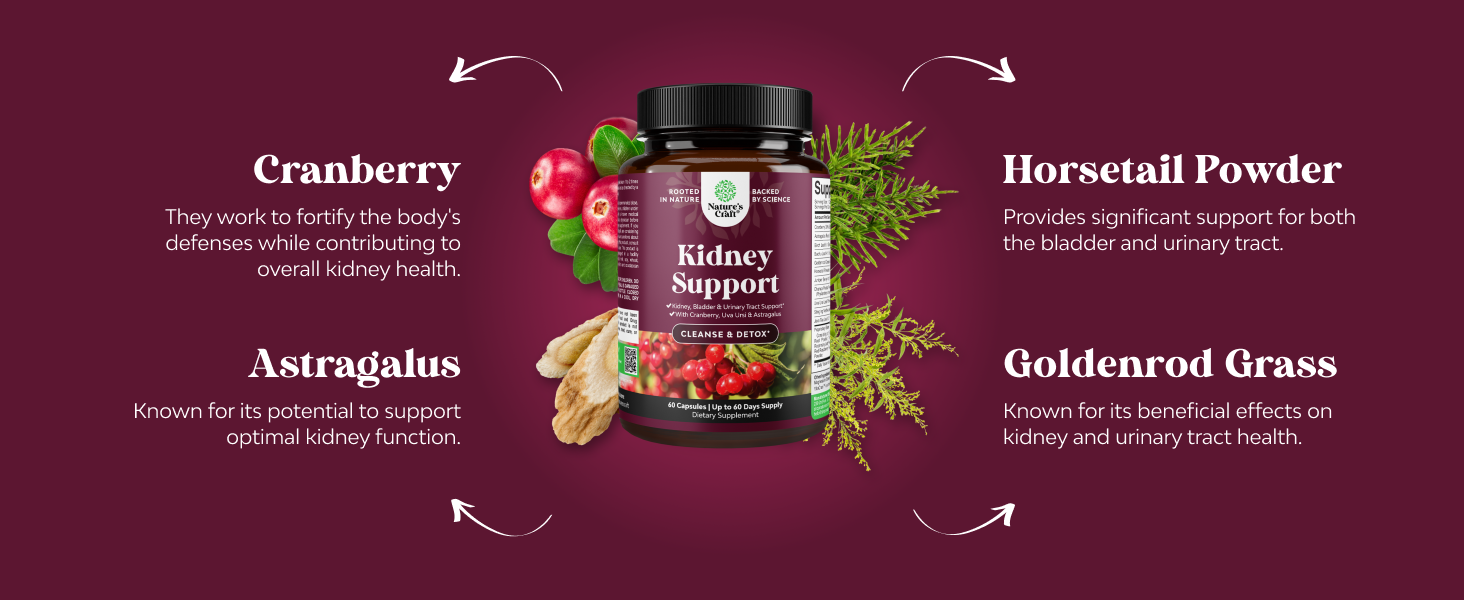 Advanced Kidney Support Supplement - Kidney Cleanse Detox & Repair Cranberry Extract Capsules with Uva Ursi, Stinging Nettle & Astragalus for Kidney Health - Urinary Tract Health - 60 Count Kidney Support 60ct