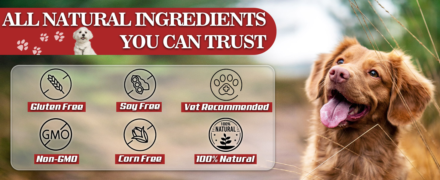 NATURE TARGET Glucosamine for Dogs, Joint Supplement with Chondroitin, MSM, Omega-3, Hemp for Pain Relief, Hip & Joint Chews for Dogs with Calcium for Bone Health, 120 Soft Chews dog glucosamine