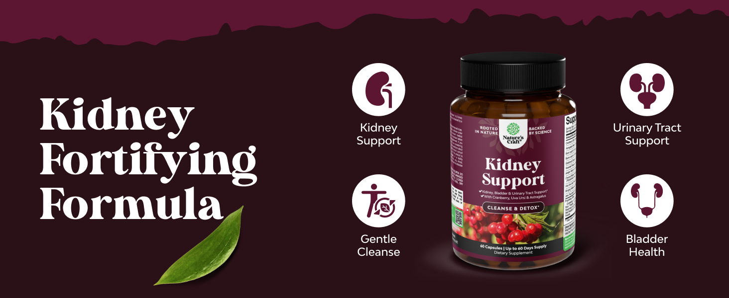 Advanced Kidney Support Supplement - Kidney Cleanse Detox & Repair Cranberry Extract Capsules with Uva Ursi, Stinging Nettle & Astragalus for Kidney Health - Urinary Tract Health - 60 Count Kidney Support 60ct