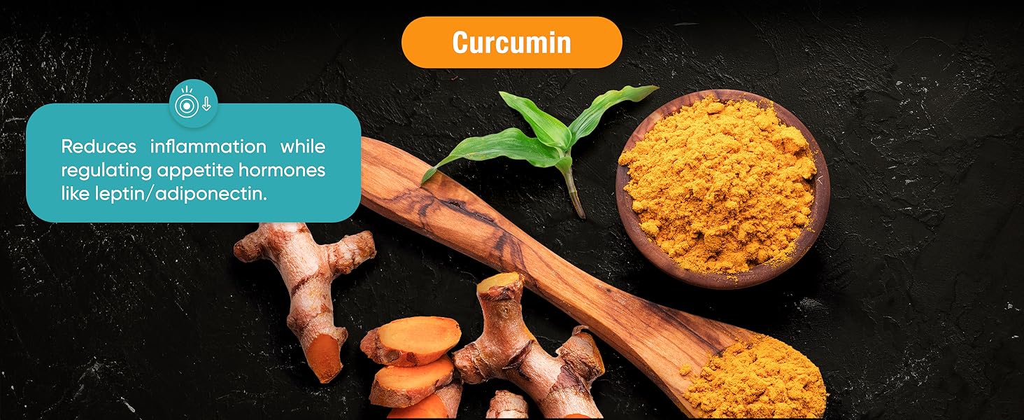 GlucoShred-Advanced GLP-1 Drink Mix - Not Just Another Supplement. A Full METABOLIC Reset for Blood Sugar, Metabolism and Appetite | Berberine Cinnamon ALA Chromium | Tangy Orange | 30 Day Supply Curcumin
