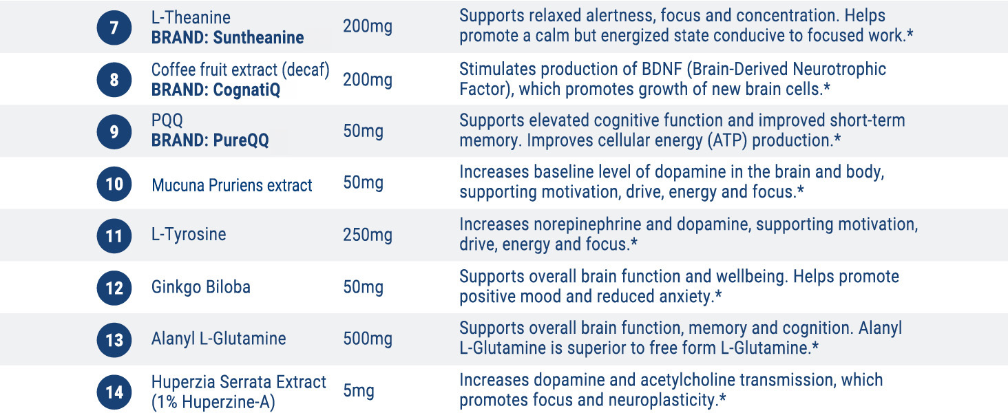 Clear Brain Fog & Focus for Deep Work | X – Science-Backed Brain Performance Supplement X