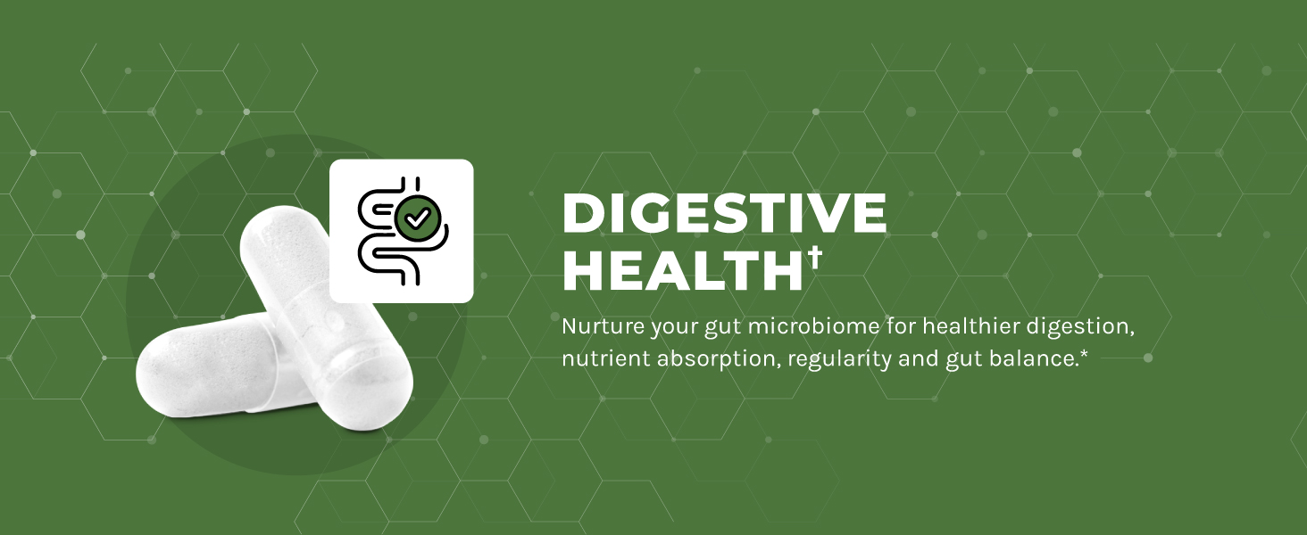 Advanced Prebiotics for Digestive Health - Fast Acting Gut Health Supplement with Clinically Validated Prebiotics for Women & Men for Healthy Gut Flora Bloating & Immune Support - 1 Month Supply Advanced prebiotic for women and men probiotics digestive and gut health supplement bioschwartz