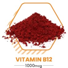 High Performance Nutrition Metabolism Booster, HPN M(6) Fat Burner, Natural Weight Loss Supplement, Support Lean Muscle, Increase Energy, Vegan Friendly, Clinically Tested, 60 Capsules Vitamin B12