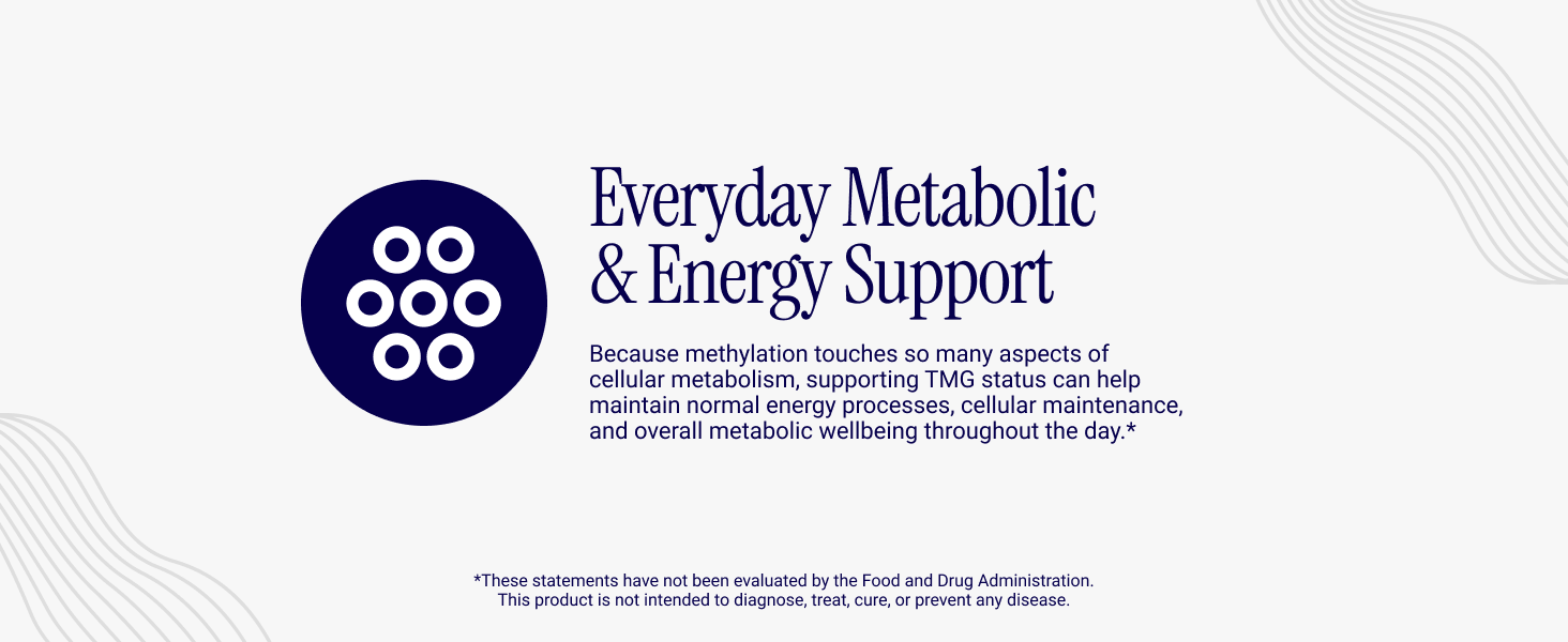 Rho Nutrition Liposomal TMG – Ultra High Absorption Liquid Trimethylglycine Supplement – Supports Methylation, Homocysteine Metabolism, Liver Function, Sport Performance, Recovery, Metabolic Energy Rho Liposomal TMG betaine liquid supplement supports everyday metabolic and energy balance support