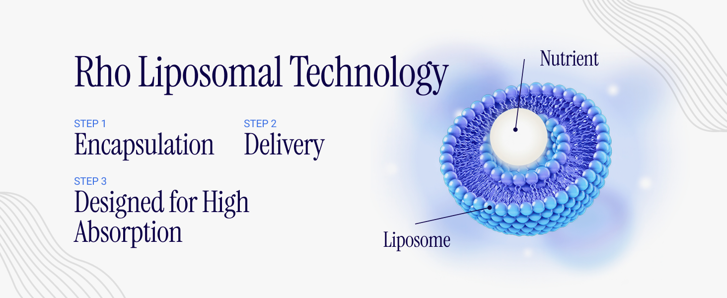 Rho liquid liposomal creatine monohydrate delivery technology designed for enhanced absorption