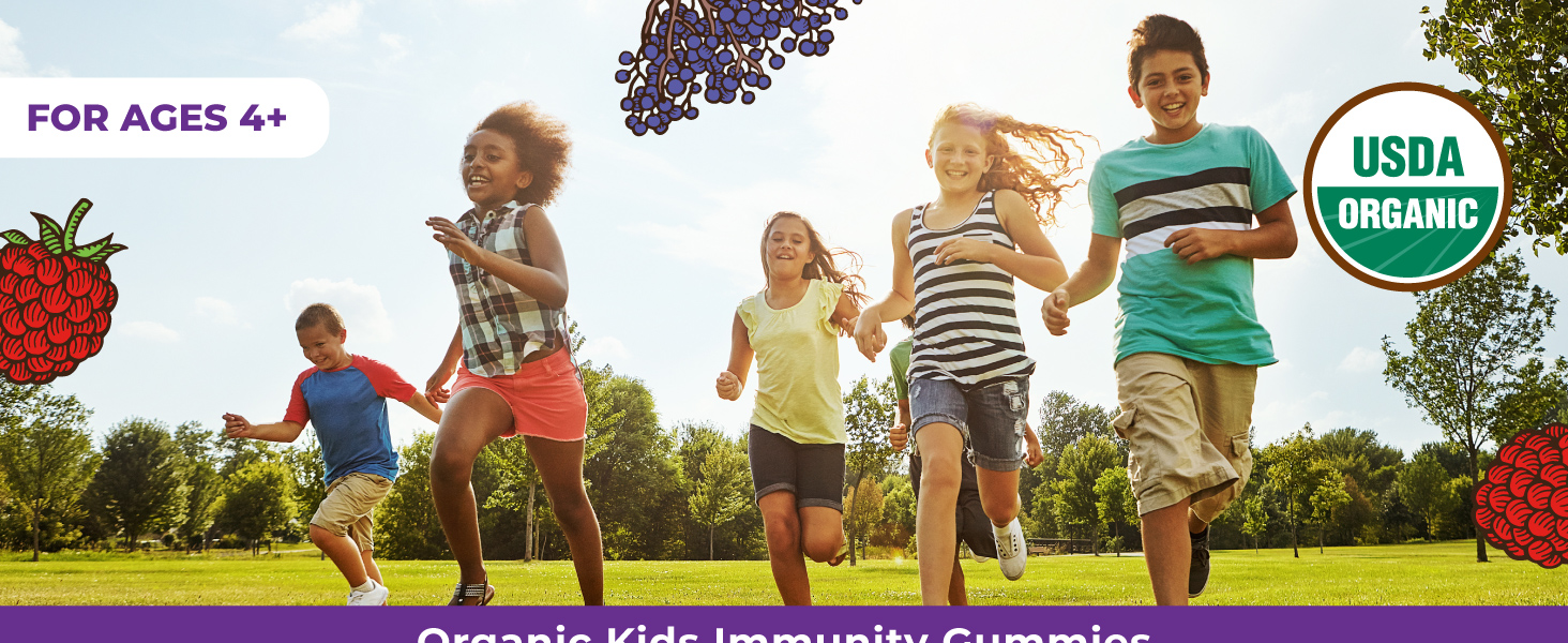 MaryRuth Organics Kids Immune Support Gummies | USDA Organic | Vitamin C, Zinc, and Elderberry Gummies for Kids| Immune Support for Ages 4+ | Vegan | Non-GMO | Gluten Free | 60 Count kids immunity gummies