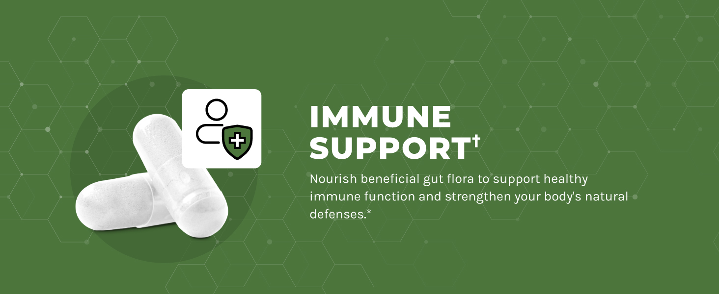 Advanced Prebiotics for Digestive Health - Fast Acting Gut Health Supplement with Clinically Validated Prebiotics for Women & Men for Healthy Gut Flora Bloating & Immune Support - 1 Month Supply Advanced prebiotic for women and men probiotics digestive and gut health supplement bioschwartz