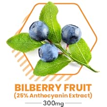 High Performance Nutrition Metabolism Booster, HPN M(6) Fat Burner, Natural Weight Loss Supplement, Support Lean Muscle, Increase Energy, Vegan Friendly, Clinically Tested, 60 Capsules Bilberry Fruit 25% Anthocyanin Extract