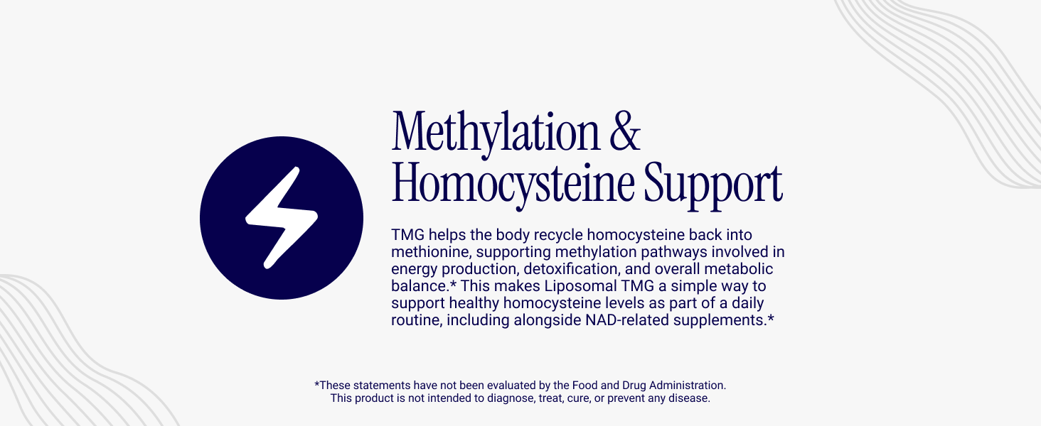 Rho Nutrition Liposomal TMG – Ultra High Absorption Liquid Trimethylglycine Supplement – Supports Methylation, Homocysteine Metabolism, Liver Function, Sport Performance, Recovery, Metabolic Energy Rho Liposomal TMG betaine liquid supplement supports methylation and homocysteine metabolism