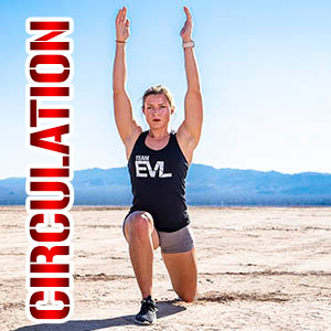 Evlution Nutrition BeetMode - Beet Root Powder - Nitric Oxide Booster - Black Cherry Flavor - Pre or Post-Workout Supplement for Enhanced Energy & Performance - Vegan & Gluten Free - 30 Servings circulation