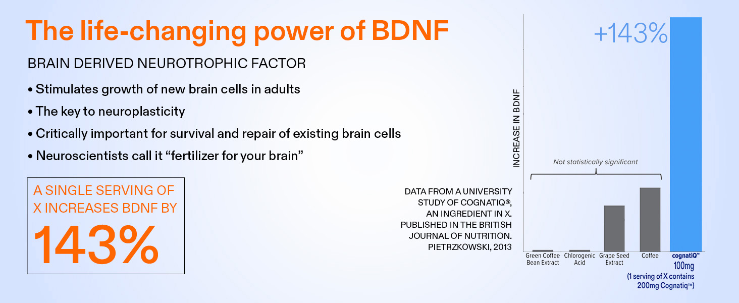 Clear Brain Fog & Focus for Deep Work | X – Science-Backed Brain Performance Supplement X