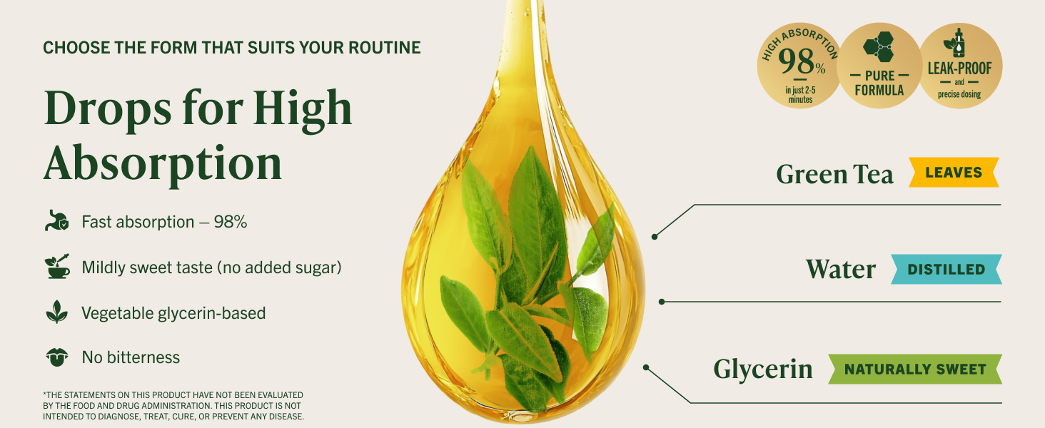 HERBAMAMA Green Tea Extract - 500 mg Camellia Sinensis per Serving - Vegan, Alcohol & Sugar-Free, 84-Day Supply Our pure formula is simple and easy to incorporate into your daily antioxidant support routine.