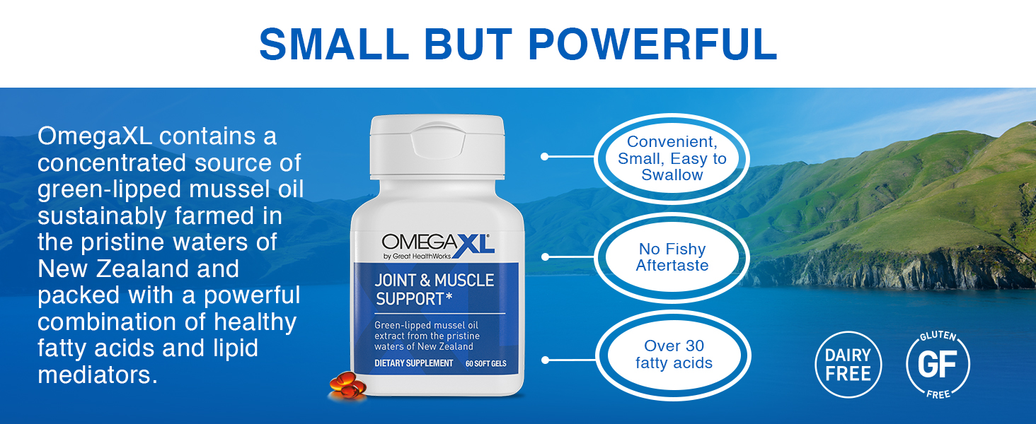 OmegaXL Joint Support Supplement, for Relief - Natural Muscle Support, Green Lipped Mussel Oil, Soft Gel Pills, Drug-Free, 60 Count easy to swallow, no fishy aftertaste