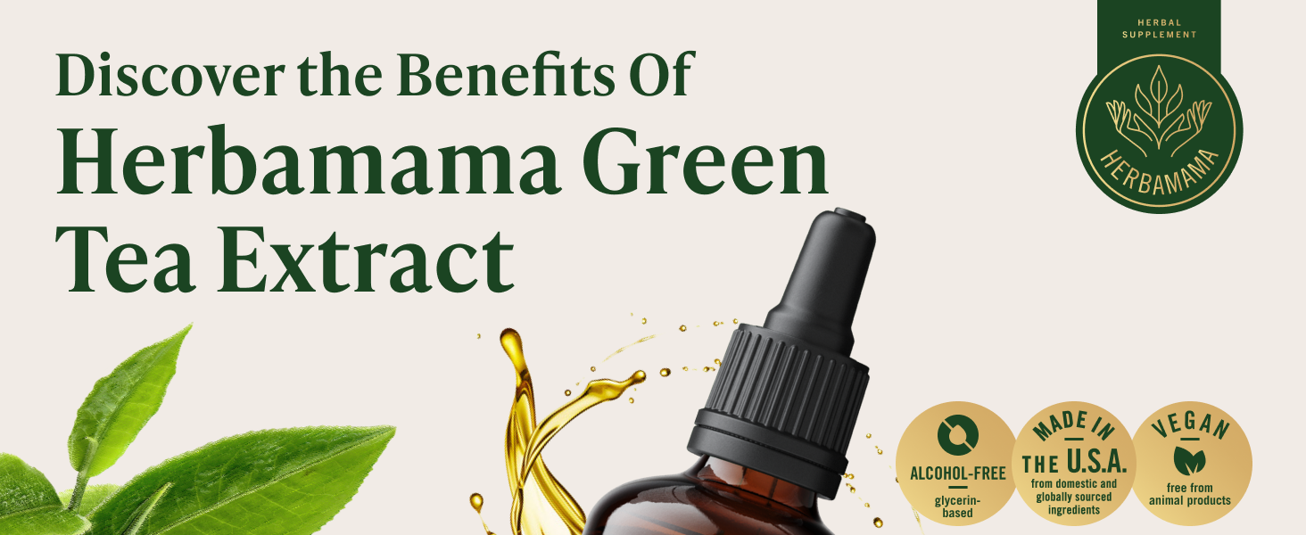 HERBAMAMA Green Tea Extract - 500 mg Camellia Sinensis per Serving - Vegan, Alcohol & Sugar-Free, 84-Day Supply Pure Green Tea extract liquid drops are carefully crafted to support overall well-being.