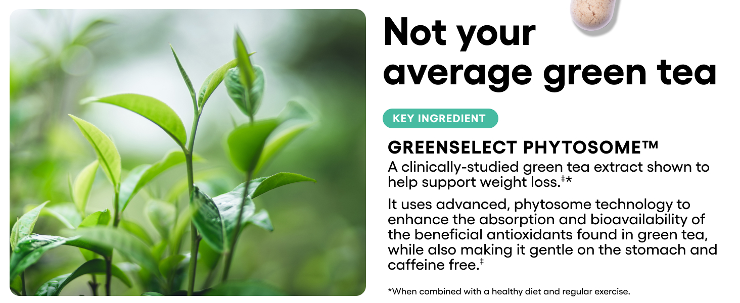 Physician's CHOICE Probiotics for Weight Management & Bloating - 6 Probiotic Strains - Prebiotics - Key ingredient Cayenne - Supports Gut Health - Weight Management for Women & Men - Green Tea - 30 CT GREENSELECT