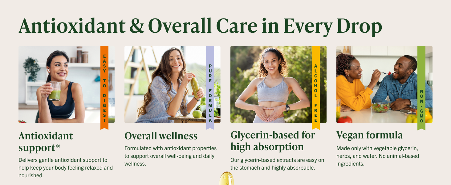HERBAMAMA Green Tea Extract - 500 mg Camellia Sinensis per Serving - Vegan, Alcohol & Sugar-Free, 84-Day Supply Promote your well-being with Herbamama’s natural, vegan green tea extract drops.
